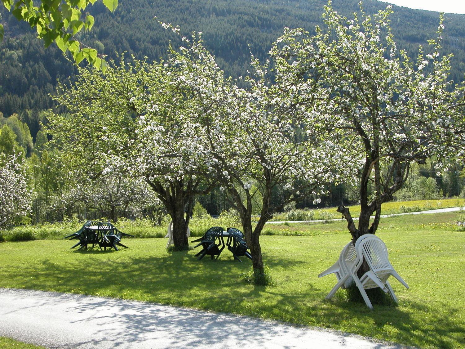 Smedsgarden Hotel Nesbyen Exteriér fotografie