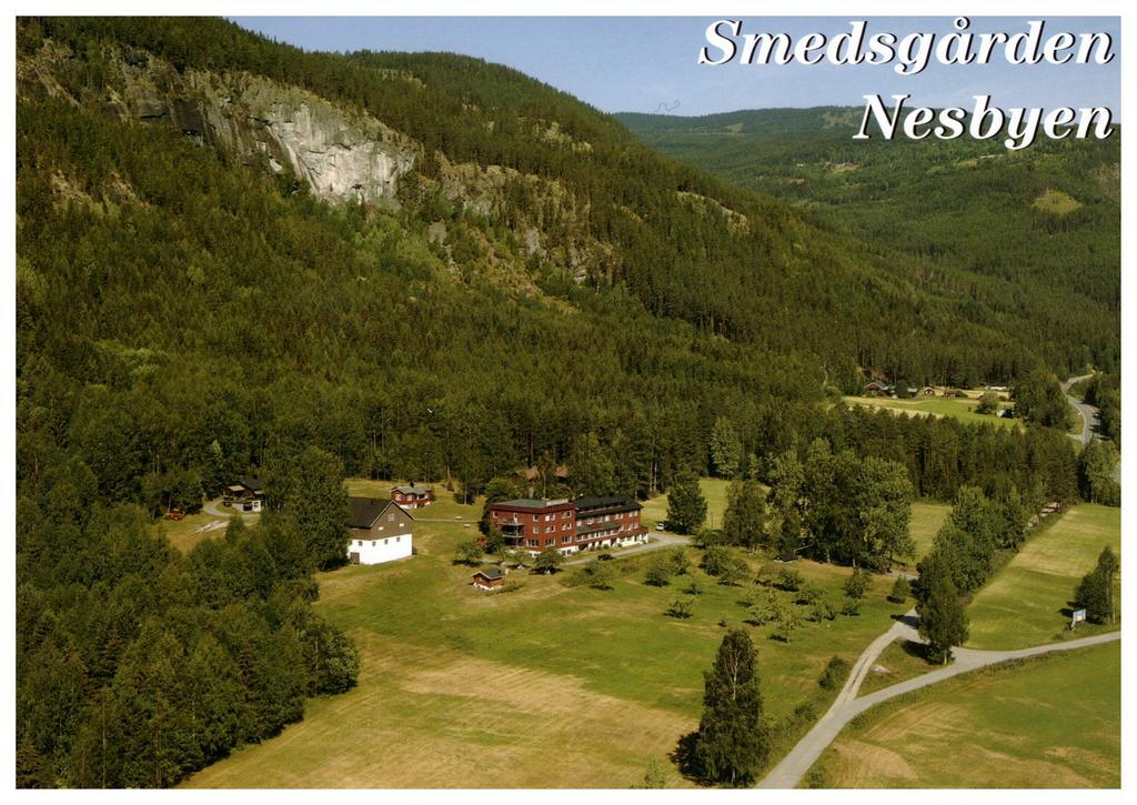 Smedsgarden Hotel Nesbyen Exteriér fotografie